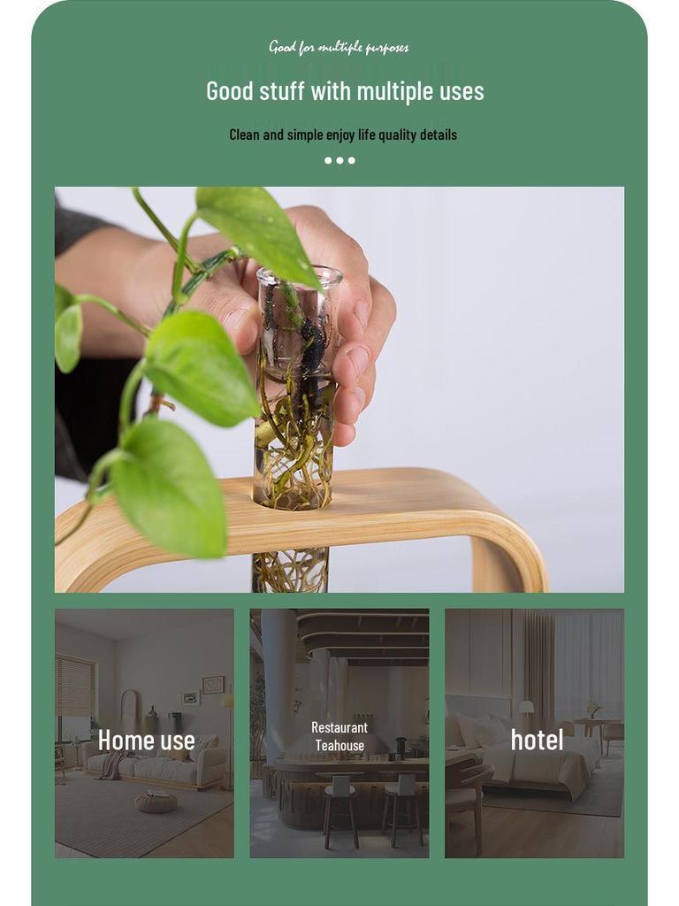 Nan Bamboo Glass Vase: Modern Minimalist Hydroponic Plant Container for Home, Office, Desk, or Wall Decor.