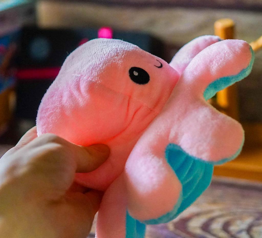 Reversible Octopus Plush 4 Made in Japan Product Toy, Pink, Touhou, Pieces, 20cm, [Actual Photographed]