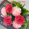 Home Decor Artificial Carnation Flowers With Handcrafted Silk Material For Wedding And Photography Props