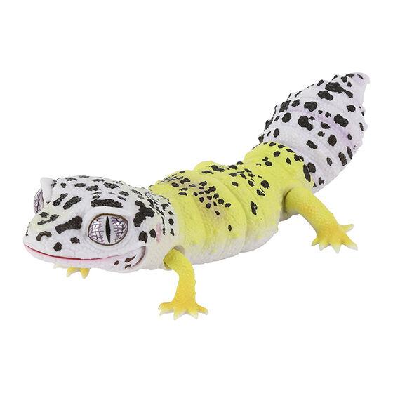 Japanese Genuine Gacha Scale Model Great Biological Encyclopedia Series Reptiles Armadillos Guard Lizards Action Figure Toys