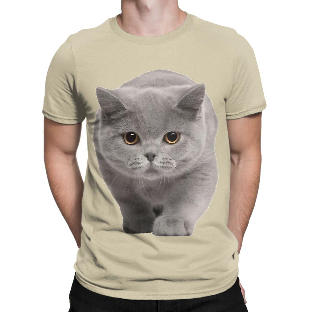 British Shorthair Graphic 100 Cotton TShirt Shorthair Tees Tops For Unisex