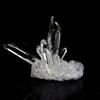 Quartz - La Gardette - 61.5 Ct - Certificate of Authenticity - 45x31x27 Mm - Gray