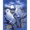 DIY Owl 5D Diamond Painting Full Round Drill Animal Diamond Embroidery Cross Stitch Mosaic Resin Crafts Kit Wall Art Home Decor