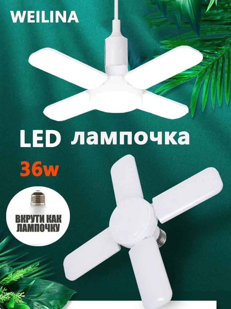 Light Bulb