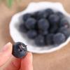 Фотореквизит Имитация черники Имитация фруктов Поддельные фрукты Украшение дома Искусственная черника