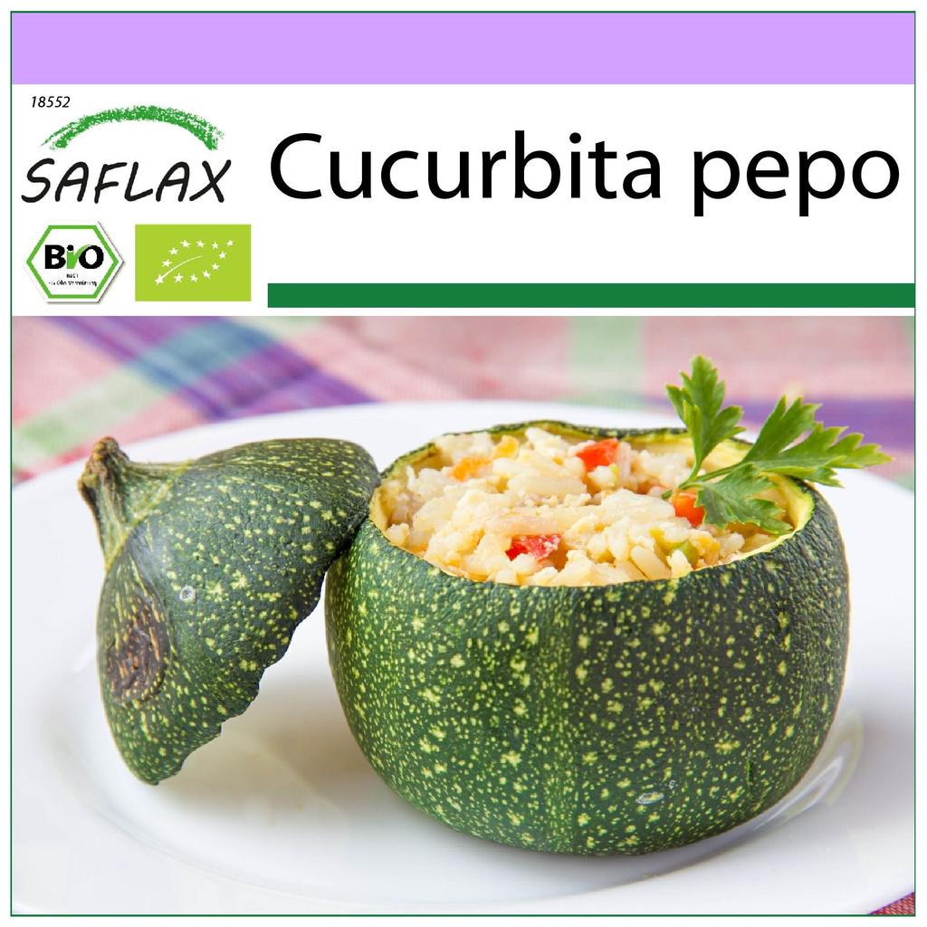 SAFLAX - Organic - Courgette - Tondo di Nizza - 5 seeds - Cucurbita pepo