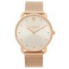 Coach Elliott Quartz Silver Women's Watch 14504209