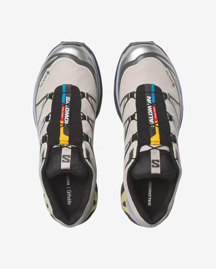 L49216100 Salomon XT-6 GORE-TEX "Серебряное Облако/Городской Шик/Теневой Зеленый" (Мужской)