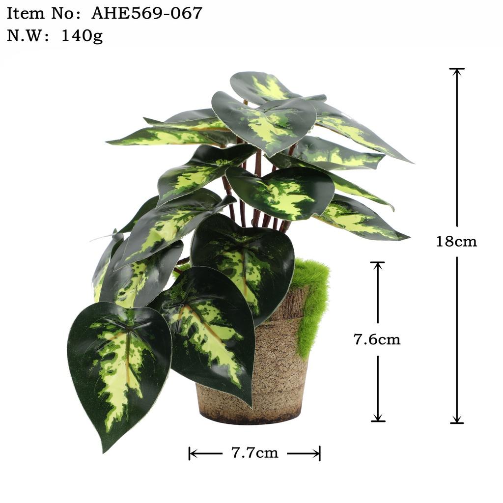 Искусственные зеленые растения для настольного украшения в помещении Эвкалипт Лист банана Спина черепахи Маргаритка Гибискус