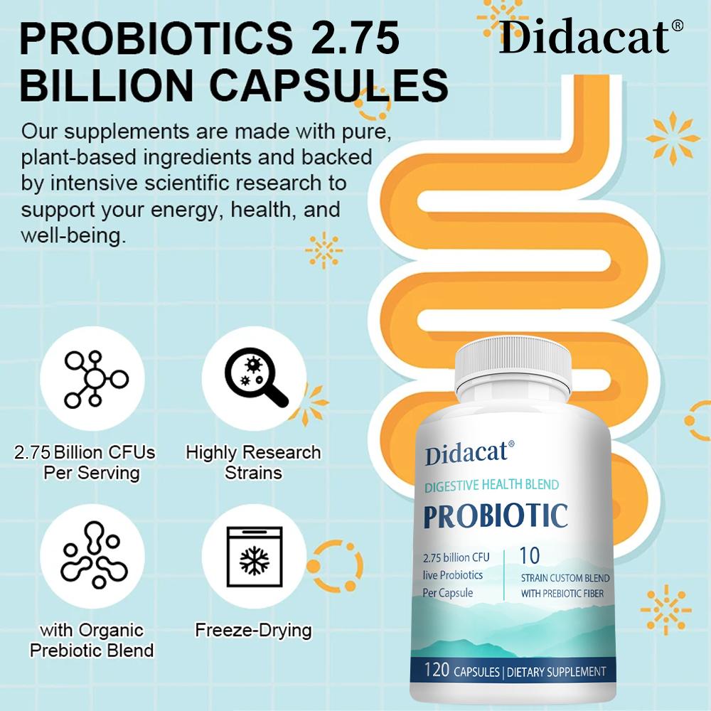 10 Strain Probiotic with Prebiotic Fiber, 120 Capsules Digestive Health Blend for Gut Balance