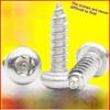 304 Stainless Steel Anti-Theft Plum Self-Tapping Screws - Round/Pan Head M3/M4/M5