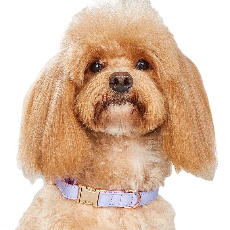 Ошейник для собак, ошейник для кошек в стиле ретро конфетного цвета, ошейник для маленьких и средних собак, ошейник для домашних собак