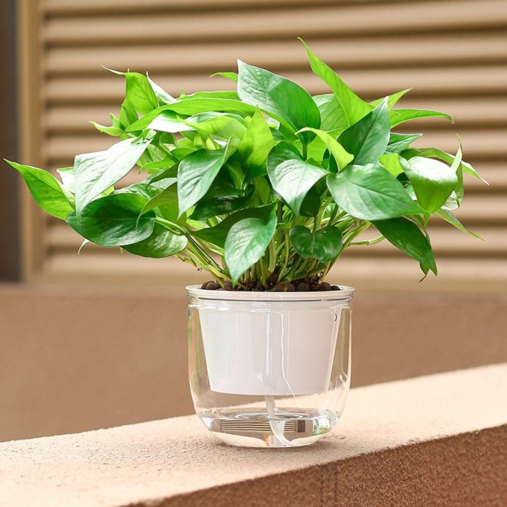 Plant Houseplant Flowerpot with Chain Home Decor Durable Hanging Flower Pots