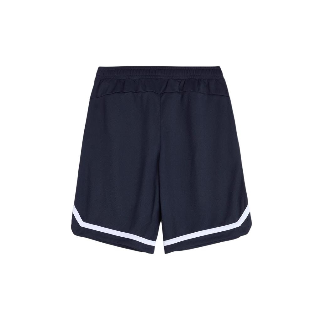 Puma Спортивные шорты DRYCELL мужские 677356-43