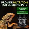 Reptile Vitamins & Probiotics: Nutritional Supplements for Geckos, Lizards, Snakes