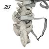 Elastic Dinosaur Suit for Walking Skeleton Pet Costume, Plush Dog Cat Outfit with 3D Funny Halloween Apparel Spine And Tail, Party Prop Small