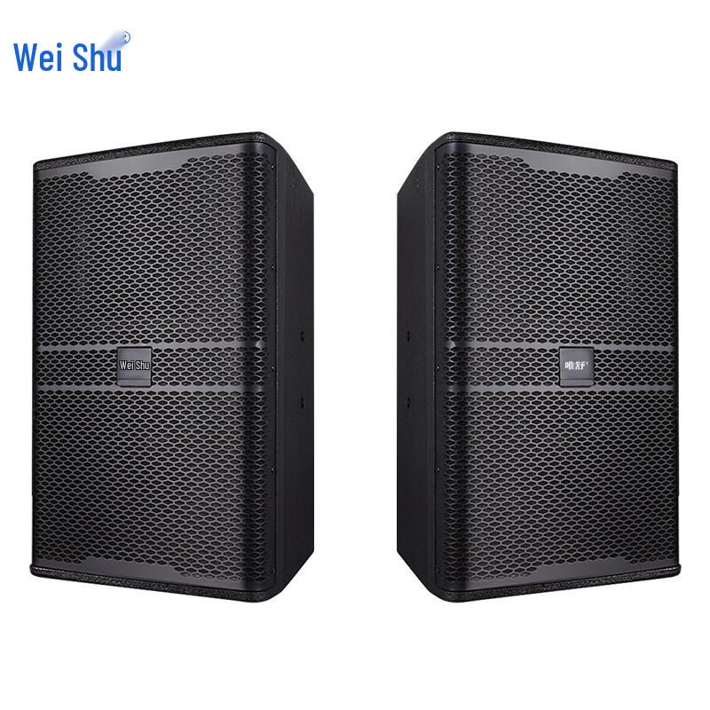 WeiShu PC-610A 10-inch Full-Range Passive Professional Speaker