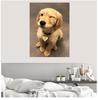 Новая 5D DIY алмазная живопись "собака" вышивка квадратная/круглая Алмазная вышивка крестиком Алмазная мозаика картина украшение подарок