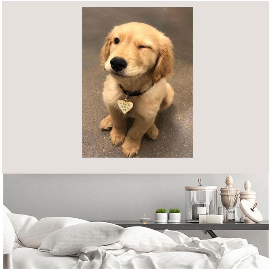 Новая 5D DIY алмазная живопись "собака" вышивка квадратная/круглая Алмазная вышивка крестиком Алмазная мозаика картина украшение подарок