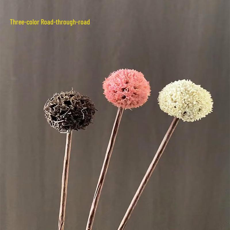 Preserved Flower Bouquet: Eucalyptus, Cotton, Pine Cones, Lotus Pods - DIY Home Decor