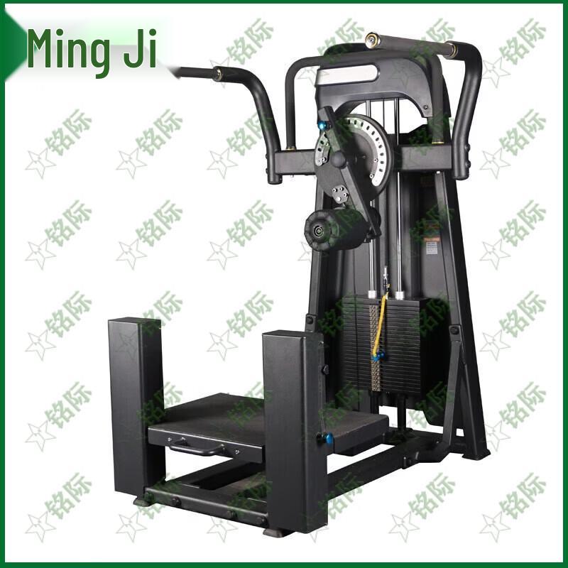 Commercial Standing Hip & Leg Trainer