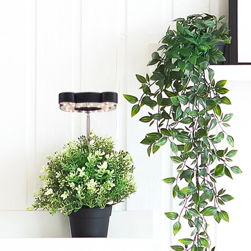 Новейший регулируемый по высоте 16,5-56 см полноспектральный светильник для выращивания растений, идеально подходящий для комнатных растений - питание от USB, таймер включения/выключения 2/4/8 часов