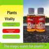 Раствор питательных веществ для жизненной силы растений: Выращивание цветов и прививка, Суккуленты и вода для фей, Водорастворимое удобрение для укоренения