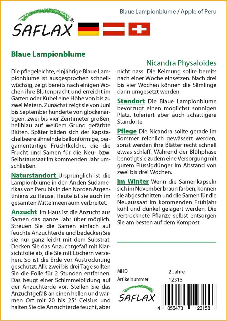 SAFLAX Яблоко Перу - 100 семян - Nicandra physaloides