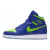 Jordan Air Jordan 1 Retro High Concord 705300-407