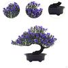 Artificial Bonsai Tree As Decorative Piece, Realistic Faux Plant for Windowsill And Office