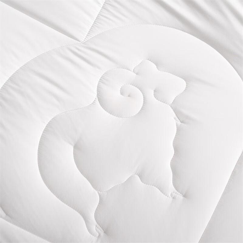 Mercury Home DH Antibacterial All-Season Polyester Quilt