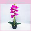 Фаленопсис Искусственный Афродита Rchb Комнатное растение в горшке Для подарка и декора интерьера
