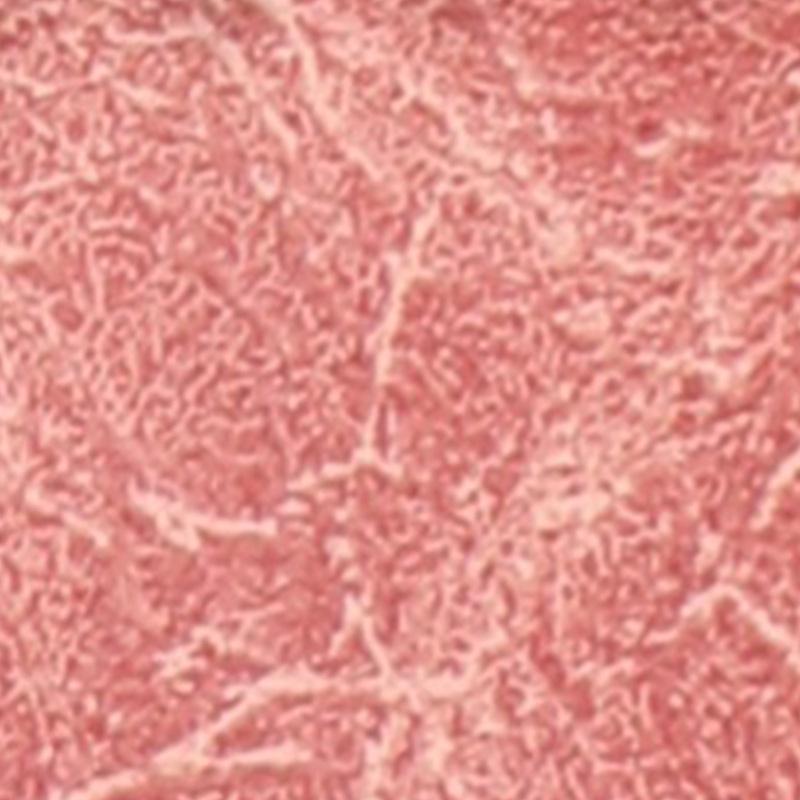 Ремень из вискозной кожи в стиле ретро: Толщина 0,6 мм для одежды, мебели, багажа и обивки диванов