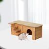 Hamster Habitat with Climbing Structure for Small Animals