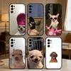 Чехол для телефона с мемами про чихуахуа для Samsung S25,S24,S21,S22,S23,S30,Ultra,S20,Plus,Fe,Note,5G Черный чехол
