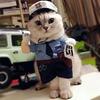 Funny Halloween Pet Dog Polyester Eco-friendly Big Banana Print Cartoon Style Formal Coat for Winter