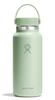 Wide Mouth Stainless Steel Bottle, 32oz (946ml), Aloe Vera, Insulated and Cold Water Bottle (Authentic Japanese Product)