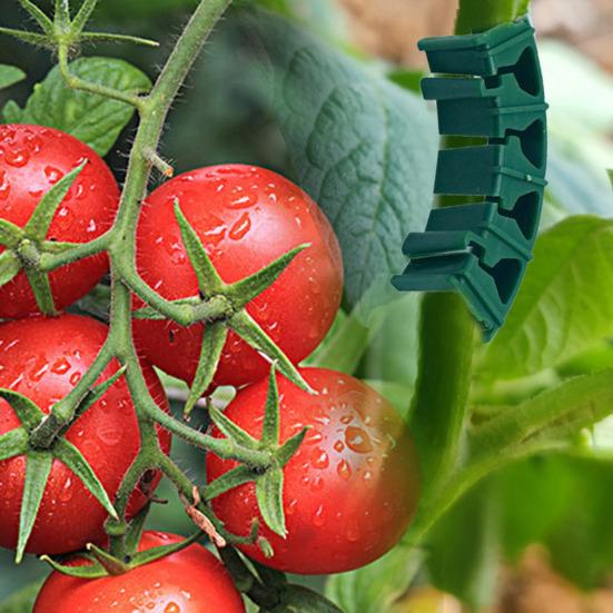 100Pcs Plant Clips Flower Stem Support Easy To Use Reusable Tomatoes Peppers Plant Vine Vegetable Fastening Clips Plant Benders