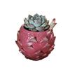 Dragon Fruit Shaped Resin Flower Pot 2 Sizes Cute Succulent Planter For Balcony Living Room Desktop Home Decor