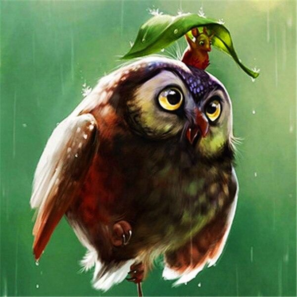 50X50CM Diy Алмазная картина Сова 5D Алмазная мозаика Распродажа Мультфильм Фотографии Стразами Вышивка Декор для дома