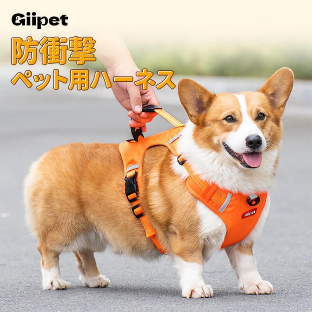 GIIPET Dog Harness with Fits Easy To Put On and Take Adjustable Collar Alternative for and Large Walking and Walking XL Leash, 2-45kg, One-Piece Soft,