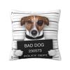 Забавная наволочка для подушки с плохой собакой Джек-рассел-терьер, бархатная наволочка с животным для дивана, автомобиля, квадратная наволочка, украшение для гостиной