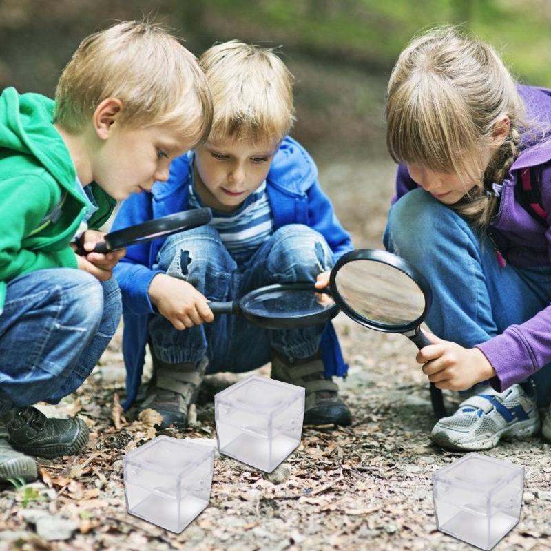 6 шт. Прозрачные коробки-лупы для насекомых для детей, для изучения природы, квадратный дизайн со смотровой линзой, школьные принадлежности для кабинета естествознания