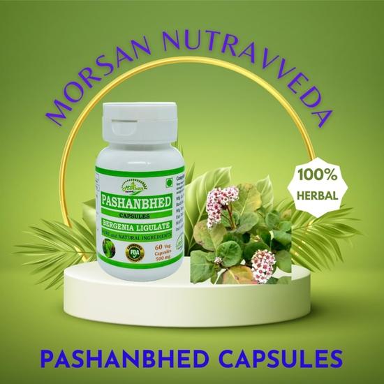 Morsan Nutraveda Pashanbhed (Bergenia Ligulata) Extract | 60 X 500 Mg Veg Capsules | Supports Renal Health, Aids Natural Detox