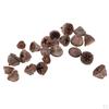 50 Pcs Mini Rustic Dried Flower Fruits for Christmas