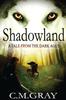 Книга Shadowland : 1