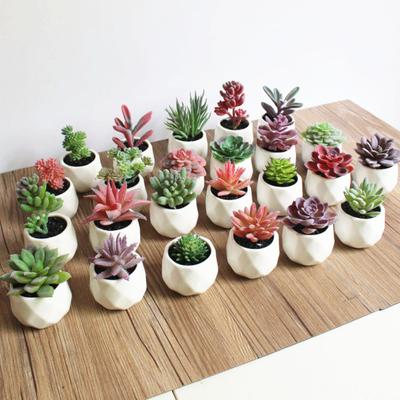 1шт искусственный цветок суккулентное растение бонсай DIY сад офис домашний декор партии