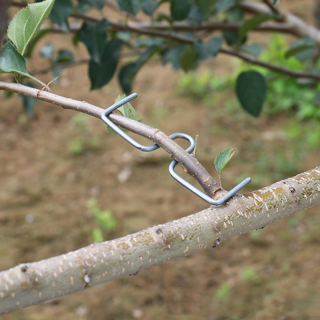 20/50/100 шт. Машина для подвязывания веток фруктовых деревьев, сельскохозяйственный инструмент, инструмент для сгибания веток сливовых деревьев под открытым углом, фруктовая ветвь