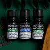 Set of Lavender, Tea Tree & Rosemary Essential Oils – 10ml Each