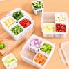 Four/Six Grids Onion Ginger Storage Container Transparent Food Fresh-keeping Holder  Kitchen